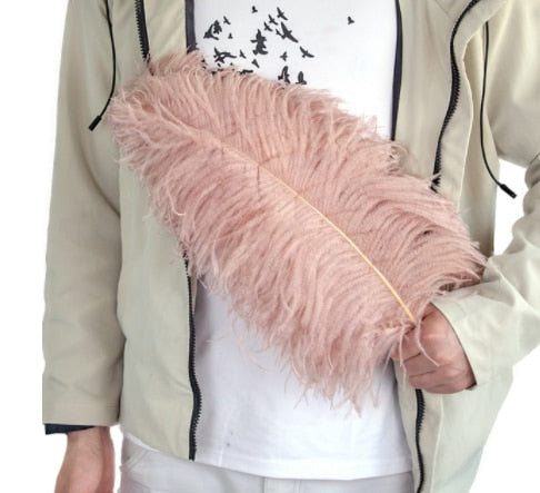 10 Pack Natural Ostrich Feathers Sex Room Decor