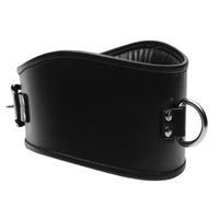 Thumbnail for Padded Leather Locking Posture Collar