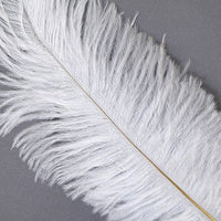Thumbnail for Ostrich Feather White Black Red Fluffy Feather For Wedding Party